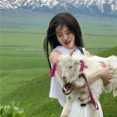 完美武器